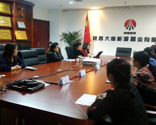 大秦置業公司積極開展銅川新區存量土地財稅業務座談交流