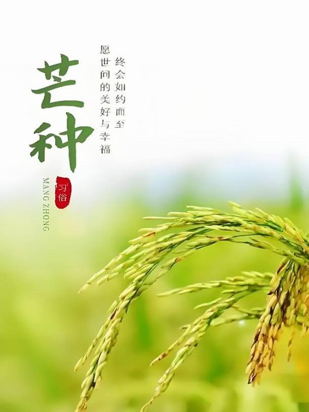 “忙”有所得 “終”有所獲