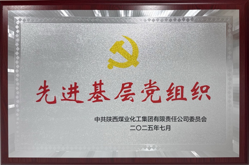 陜煤建設綠宇公司:榮獲陜煤集團“先進基層黨組織”稱號