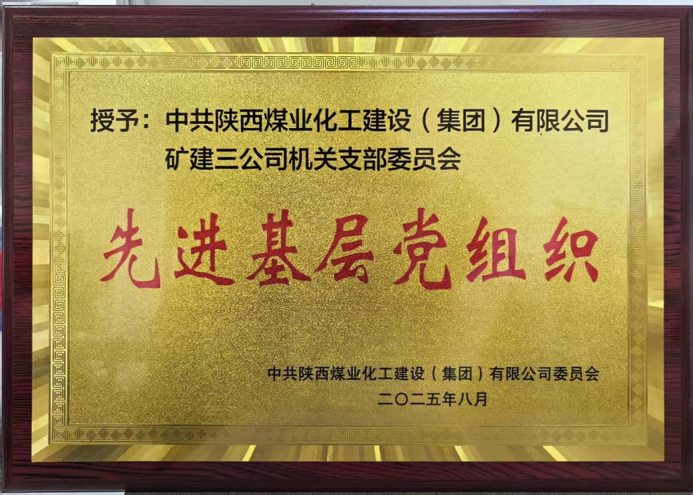 黨建引領促發展 融合共進譜新篇