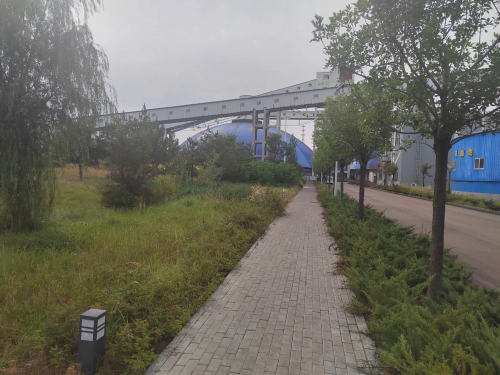 陜煤建設洗選煤運營公司紅柳林洗煤廠項目部:秋韻里的安全堅守與生產奮進