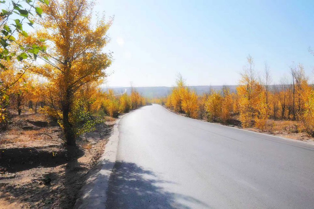 黃土鑄風(fēng)骨  秋風(fēng)唱大歌