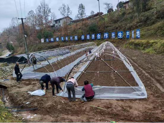 陜煤建設(shè)定點幫扶村:以“五化”實踐助力鄉(xiāng)村全面振興