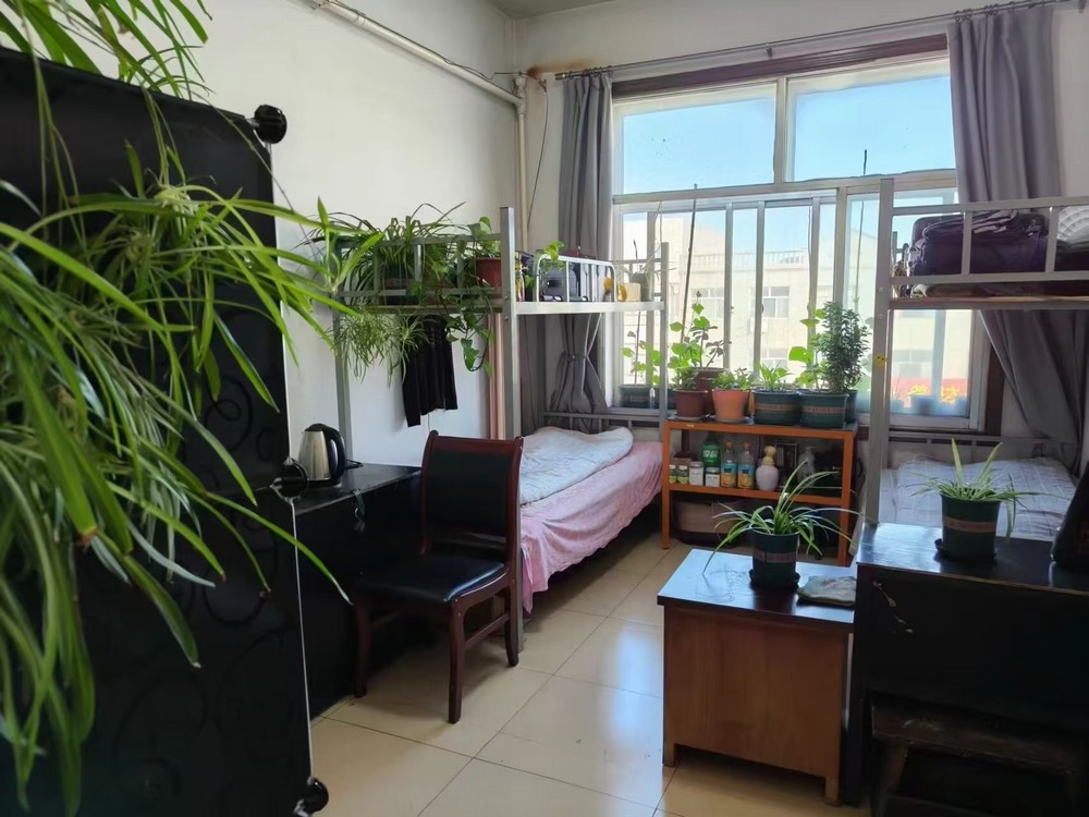 陜煤建設(shè)洗選煤運(yùn)營(yíng)公司檸條塔運(yùn)營(yíng)項(xiàng)目部黨支部:黨建領(lǐng)航強(qiáng)根基 廉潔鑄魂促發(fā)展