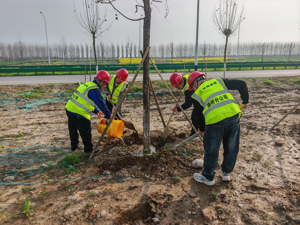 陜煤建設(shè)路橋分公司荊州項目部開展植樹活動